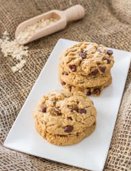 A great combination of peanut butter and chocolate chips make these cookies for a perfect breakfast